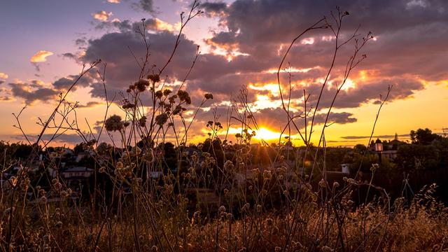 Detail Gambar Senja Di Sore Hari Nomer 23