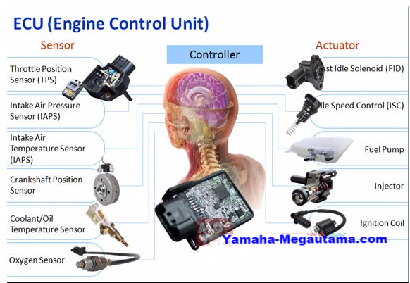 Gambar Sensor Pada Motor Injeksi - KibrisPDR