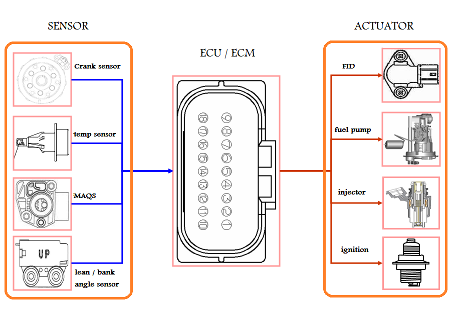 Detail Gambar Sensor Pada Motor Injeksi Nomer 41