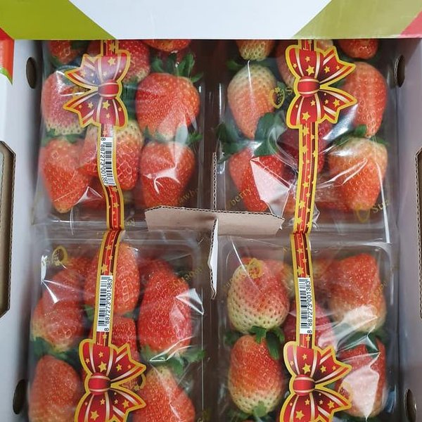 Detail Gambar Senter Gambar Buah Strawberry Nomer 14