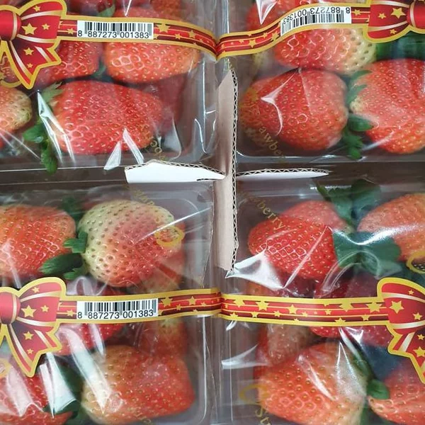 Detail Gambar Senter Gambar Buah Strawberry Nomer 21