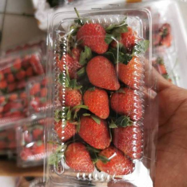 Detail Gambar Senter Gambar Buah Strawberry Nomer 25