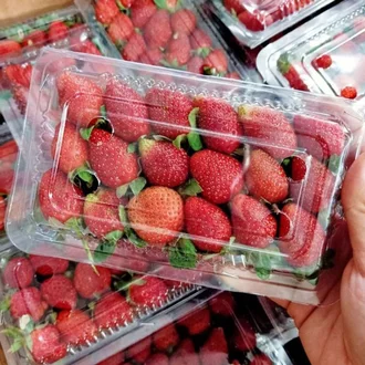 Detail Gambar Senter Gambar Buah Strawberry Nomer 39