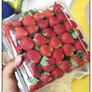 Detail Gambar Senter Gambar Buah Strawberry Nomer 5