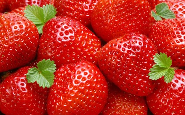 Detail Gambar Senter Gambar Buah Strawberry Nomer 49