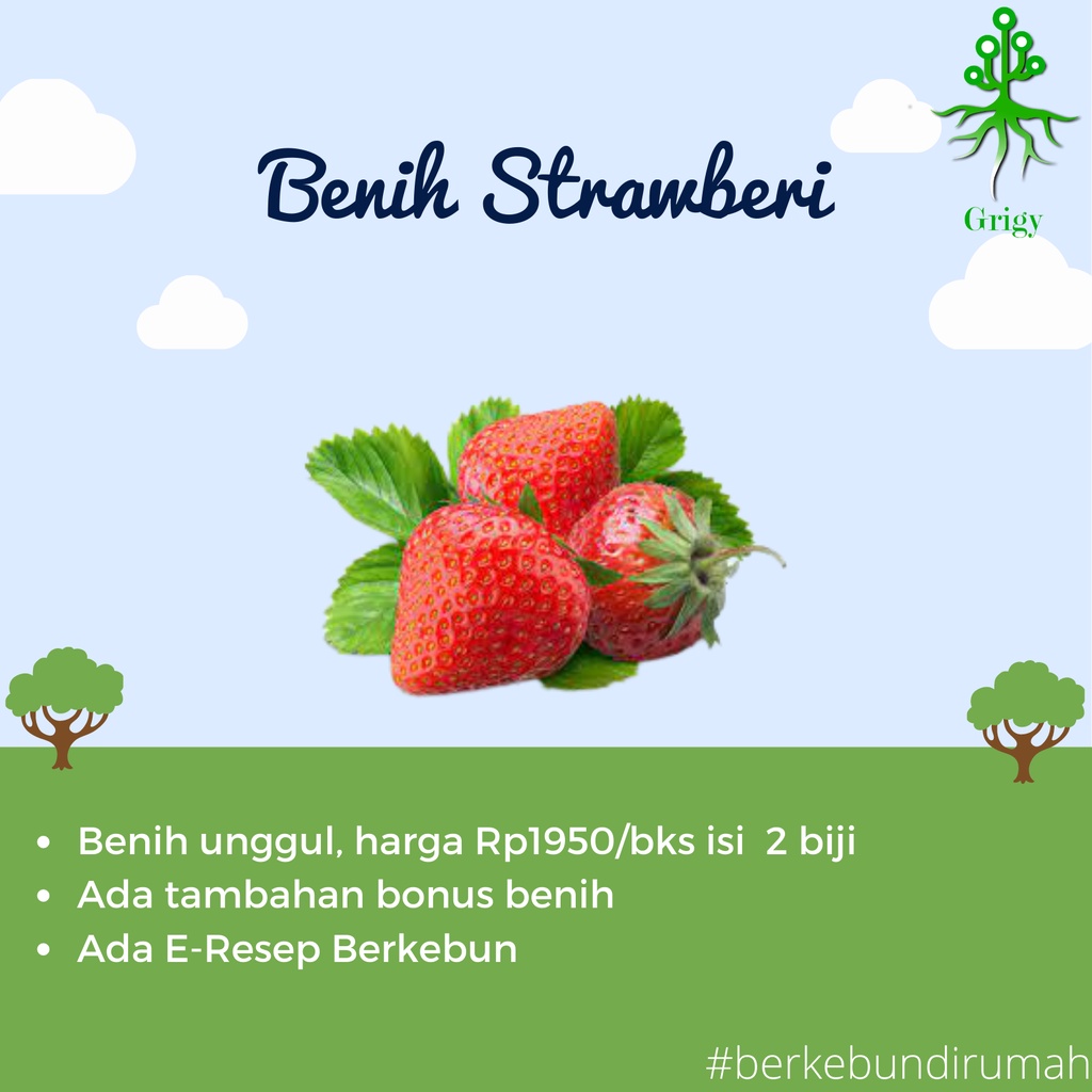 Detail Gambar Senter Gambar Buah Strawberry Nomer 51