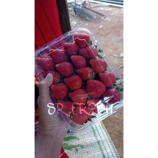 Detail Gambar Senter Gambar Buah Strawberry Nomer 52