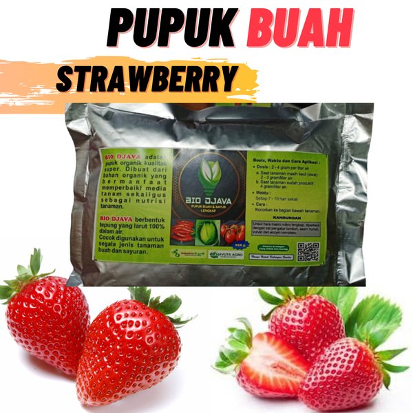 Detail Gambar Senter Gambar Buah Strawberry Nomer 56