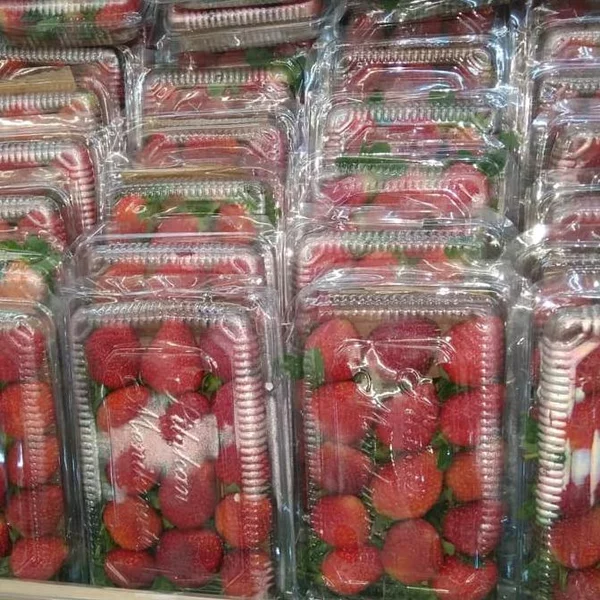 Detail Gambar Senter Gambar Buah Strawberry Nomer 8