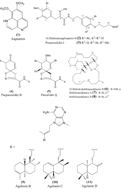 Detail Gambar Senyawa Alkaloid Nomer 8