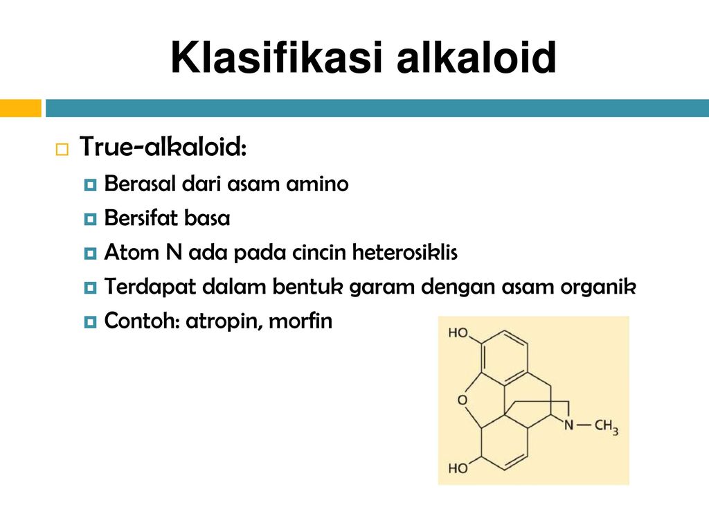 Detail Gambar Senyawa Alkaloid Nomer 9