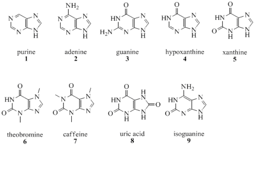 Detail Gambar Senyawa Alkaloid Nomer 3