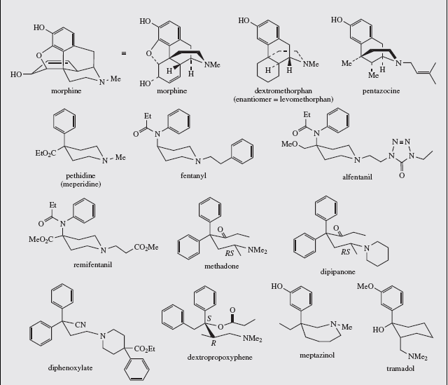 Detail Gambar Senyawa Alkaloid Nomer 22