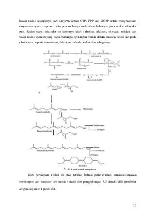 Detail Gambar Senyawa Alkaloid Nomer 33