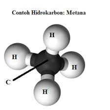 Detail Gambar Senyawa Hidrokarbon Nomer 47