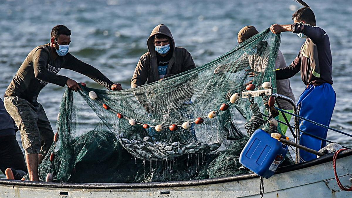 Detail Gambar Seorang Nelayan Menangkap Ikan Nomer 42