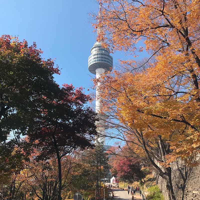 Detail Gambar Seoul Tower Nomer 6