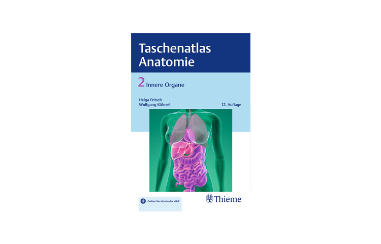 Detail Anatomie Innere Organe Nomer 2