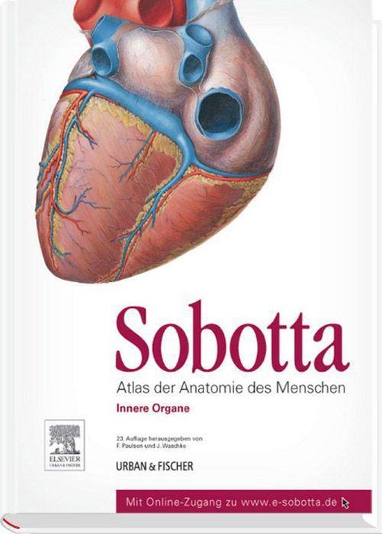 Detail Anatomie Innere Organe Nomer 4