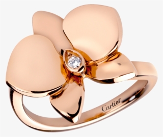 Detail Cartier Leopard Ring Nomer 11