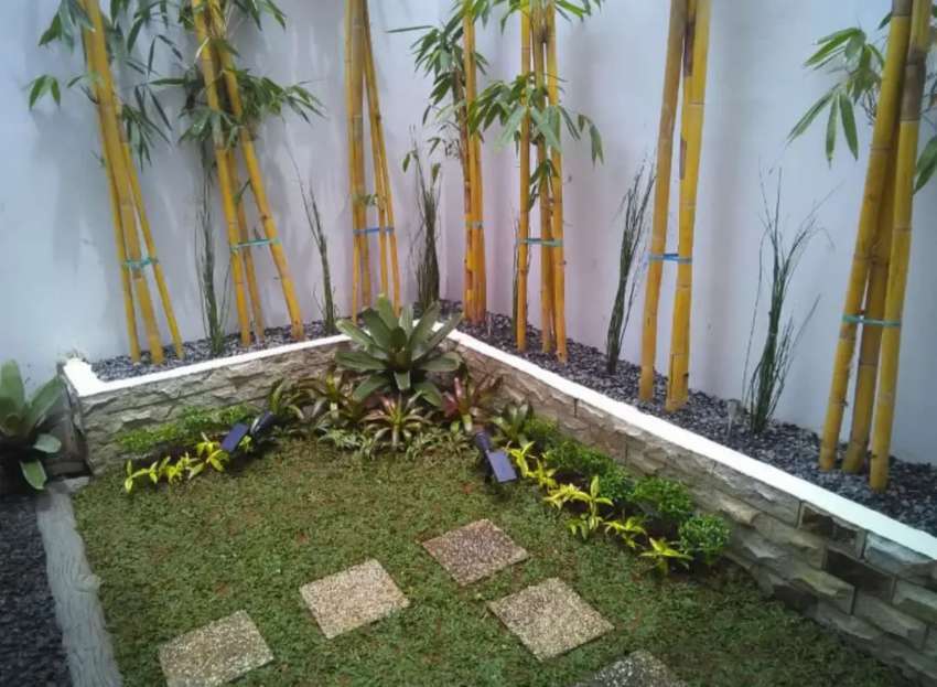 Detail Dekorasi Taman Dalam Rumah Nomer 48