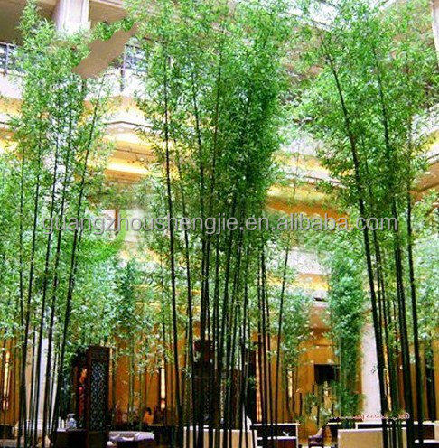 Detail Dekorasi Taman Dari Bambu Nomer 54