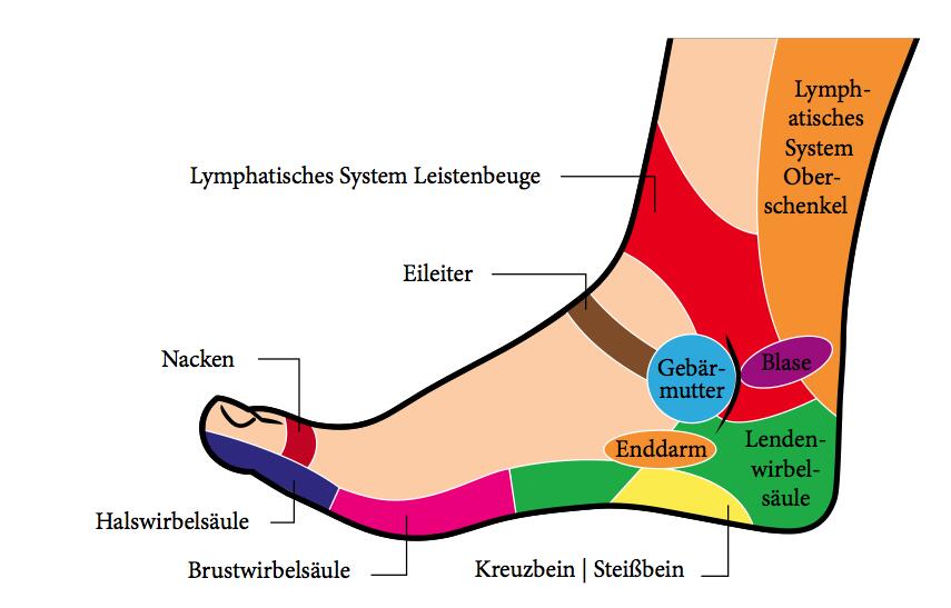 Detail Lustige Medizinische Diagnosen Nomer 2