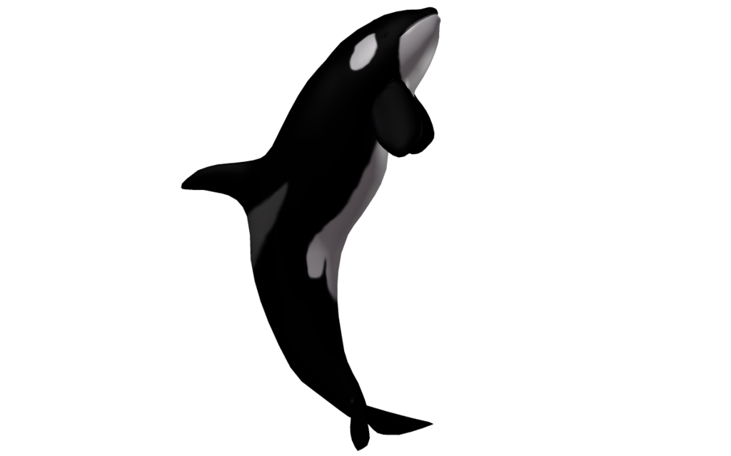 Detail Orca Transparent Nomer 7