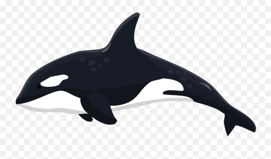Detail Orca Transparent Nomer 13