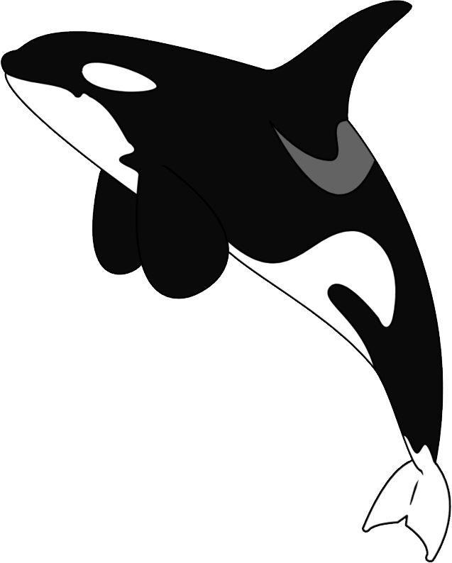 Detail Orca Transparent Nomer 14