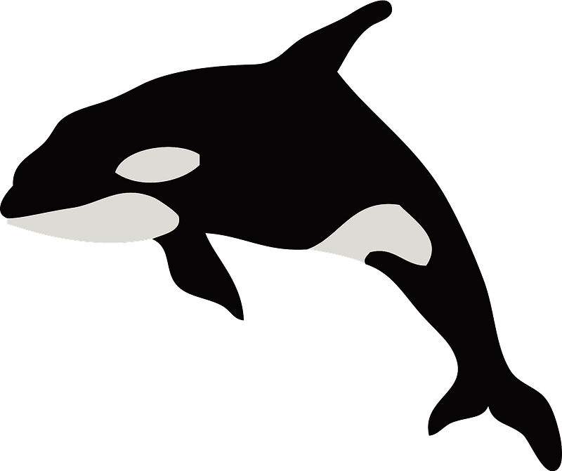 Detail Orca Transparent Nomer 18