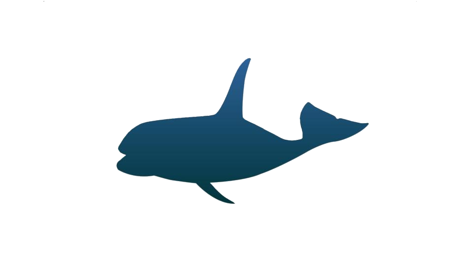 Detail Orca Transparent Nomer 23