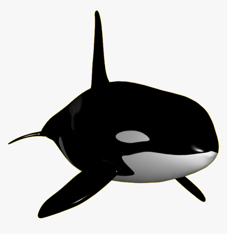 Detail Orca Transparent Nomer 3