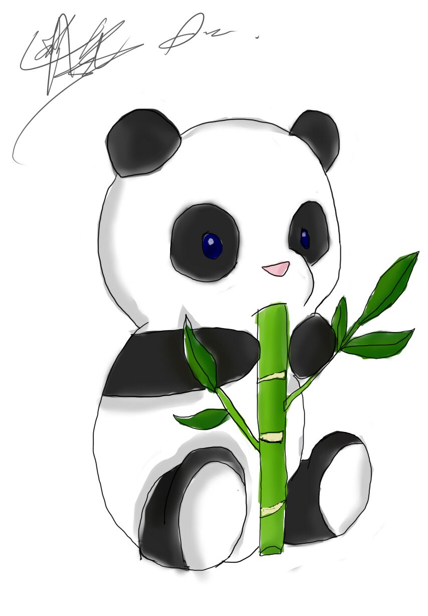 Detail Panda Lustig Nomer 13