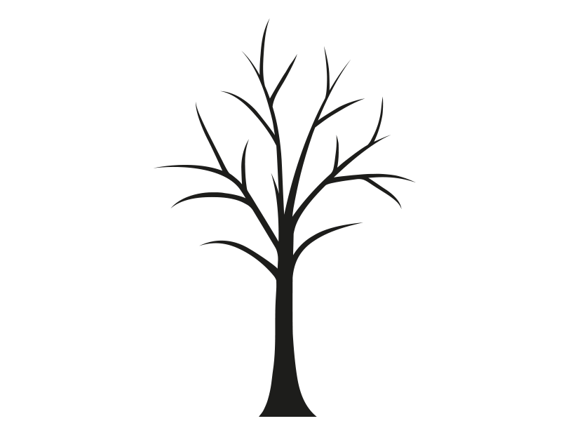 Detail Zeichnung Baum Nomer 11