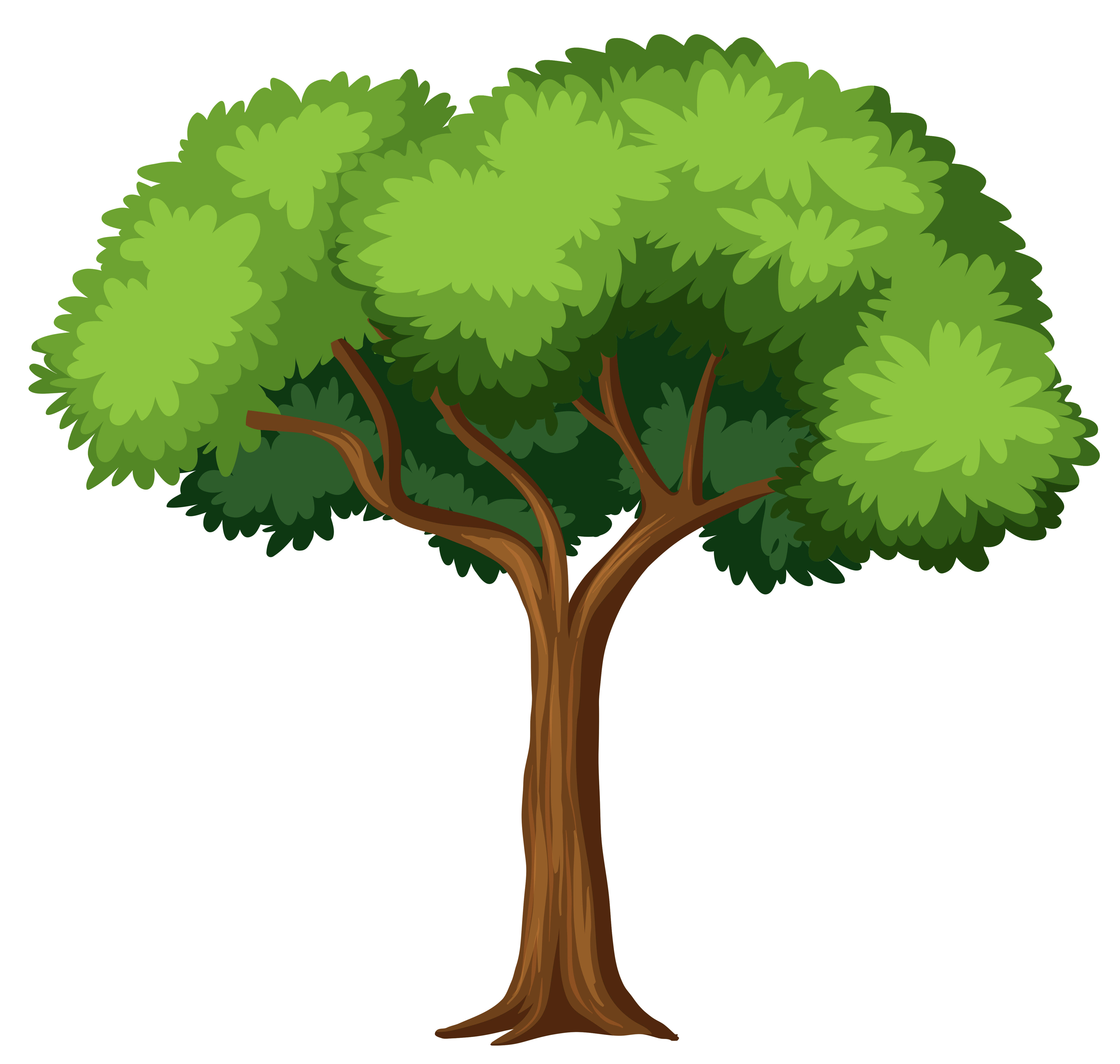 Detail Zeichnung Baum Nomer 3