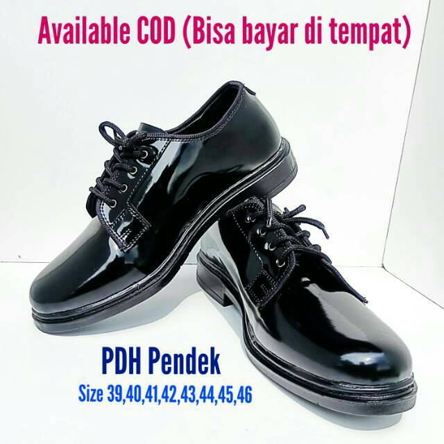 Detail Gambar Sepatu Pdh Nomer 6