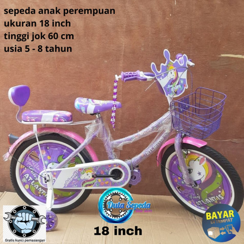 Detail Gambar Sepeda Anak Anak Nomer 40