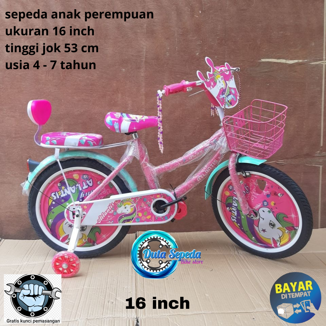 Detail Gambar Sepeda Anak Perempuan Nomer 48