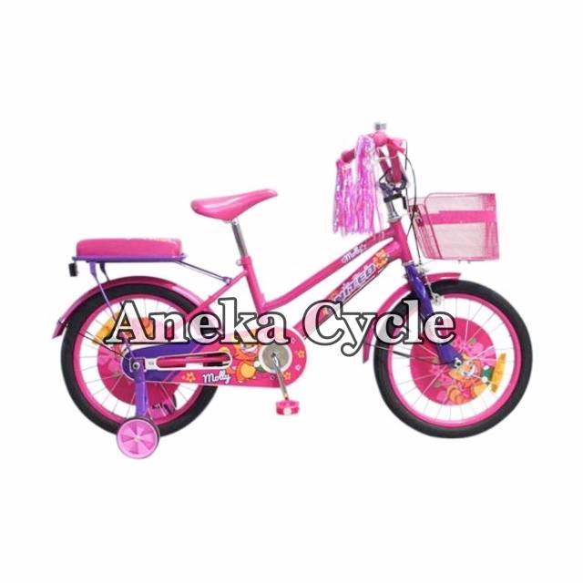 Detail Gambar Sepeda Anak Perempuan Roda 2 Nomer 8