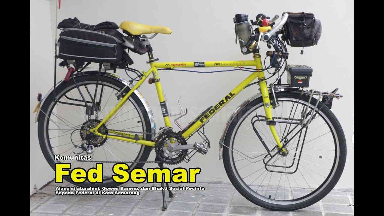 Detail Gambar Sepeda Federal Nomer 9