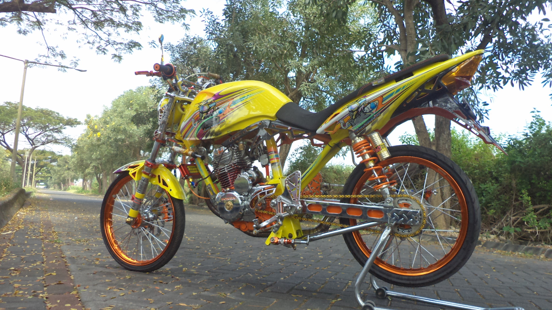 Detail Gambar Sepeda Motor Tiger Modifikasi Nomer 38