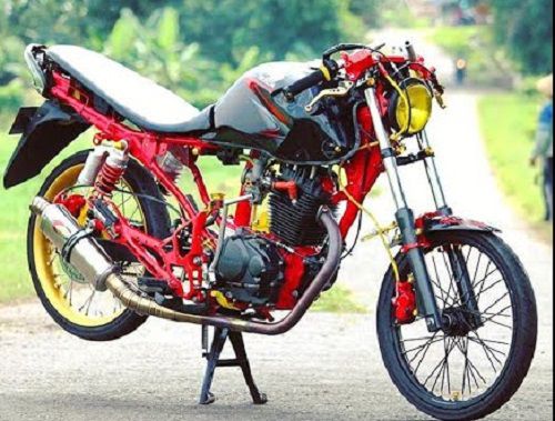 Detail Gambar Sepeda Motor Tiger Modifikasi Nomer 6