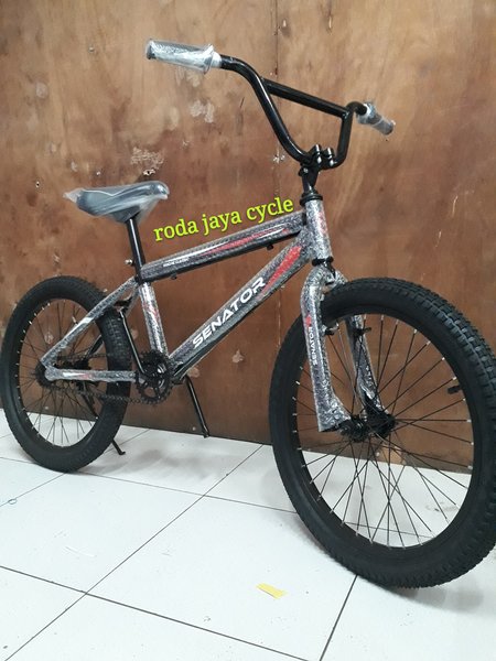 Detail Gambar Sepedah Bmx Asli Nomer 31