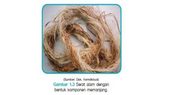 Detail Gambar Serat Alam Nomer 21