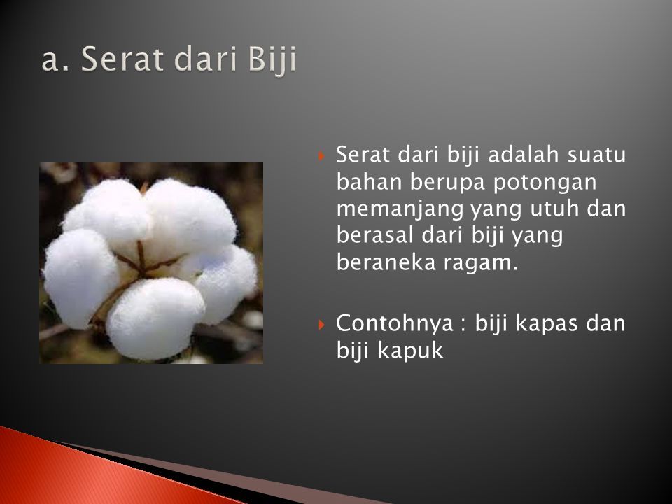 Detail Gambar Serat Biji Kapas Nomer 52