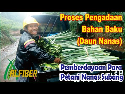 Detail Gambar Serat Daun Nanas Nomer 48