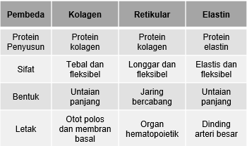 Detail Gambar Serat Elastin Nomer 13