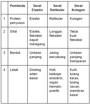 Detail Gambar Serat Elastin Nomer 24