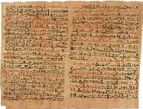 Detail Gambar Serat Papyrus Nomer 3